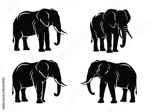 Four elegant elephant silhouettes displayed against a clean white background