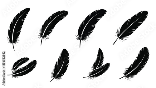 Set of delicate black bird feather silhouette illustrations