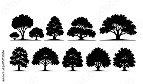 Detailed landscape tree silhouettes vector set for park and outdoor design