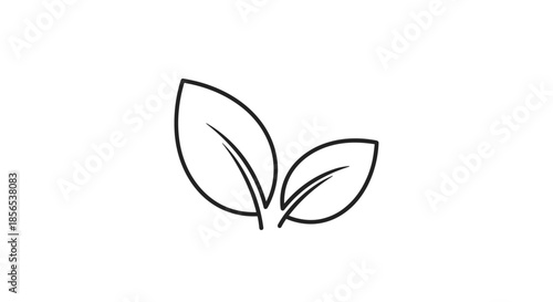 Minimalist leaf line art showing two simple foliage outlines representing nature, growth, and organic concepts on white background.
