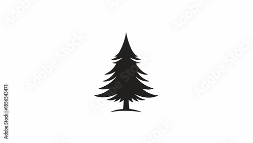 christmas tree isolated on white