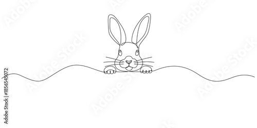 Easter Bunny Line art drawing
