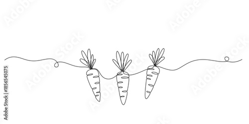 Continuous one line drawing of carrot