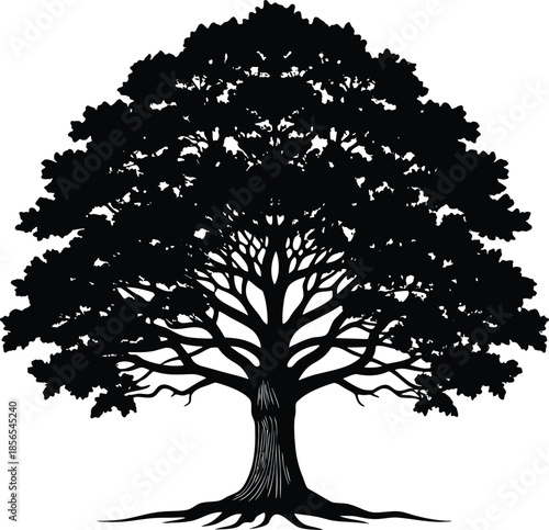 Mighty tree silhouette with extensive roots and dense foliage standing alone