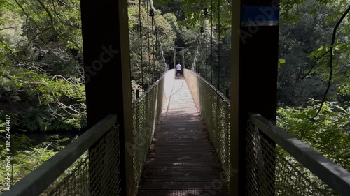 Wallpaper Mural Person Walking Across Suspended Rope Bridge Through Forest Torontodigital.ca