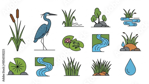 A collection of colorful vector illustrations of aquatic plants, a heron, and water elements, including cattails, lily pads, and streams,