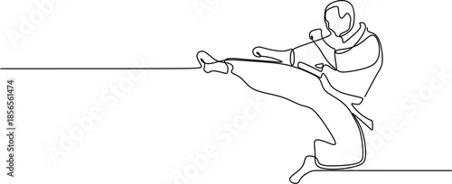 Continuous Line Art of a Karate Martial Artist Performing a High Kick Vector