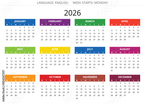 2026 english multicolor calendar. Vector illustration. Week starts monday