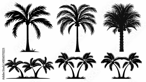 Black palm tree silhouettes on white background