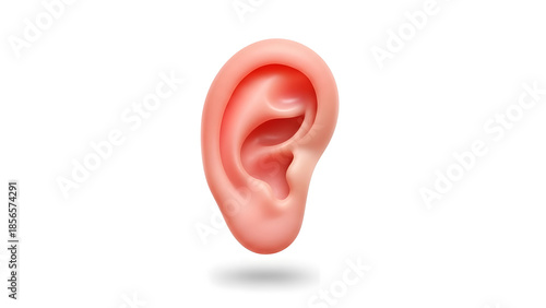 ear with smooth textures and friendly design, centered and isolated on white background.