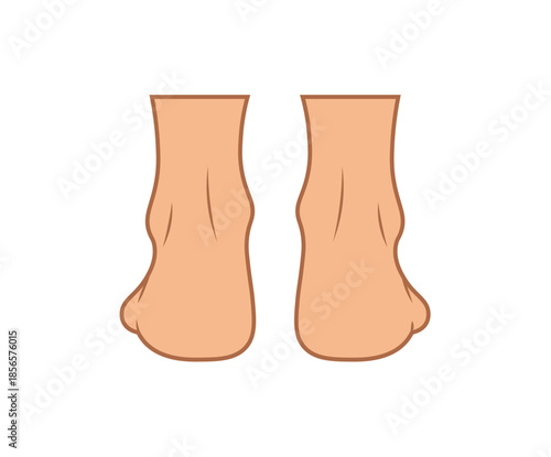 Ankle heel feet anatomy rear view. Human body skin medical health orthopedic symbol isolated on white background.
