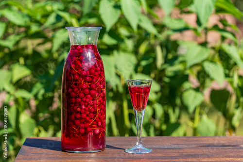 Glass bottle of homemade tincture or liqueur of red currants on nature background, closeup, copy space. Berry alcoholic drinks concept