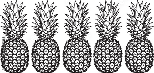 Five black and white pineapples with intricate cut-out patterns and spiky tops arranged in a row also transparent background