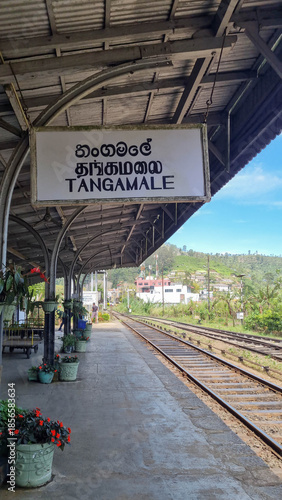 Tangamale, Sri Lanka March 05th 2025: Interior of Tangamale Railway Station. People finally arrived the city and were getting off the train, which came from middle of the country, Nuwara Eliya.