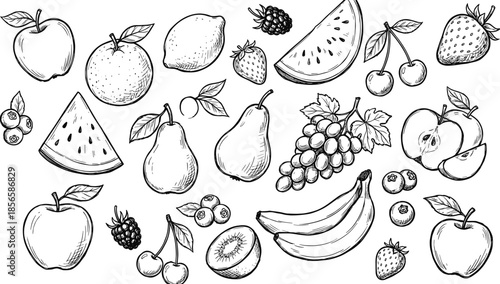 Hand drawn fruit sketch collection isolated on white background, fresh apples bananas pears berries watermelon and grapes line art illustration