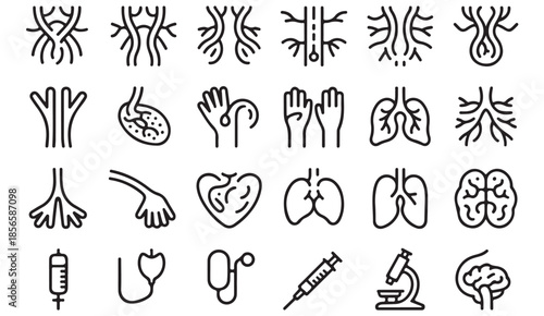 Simple Medical Anatomy Outline Icons for Health Education