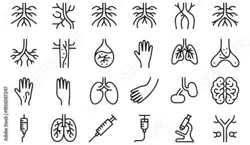 Medical Body Structure Line Icons with Organs and Nerves