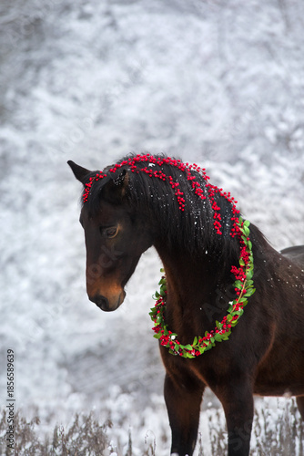 Horse in christmas wreath in snow forest