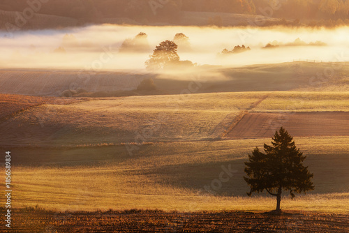 Mglisty poranek na Suwalszczyźnie.