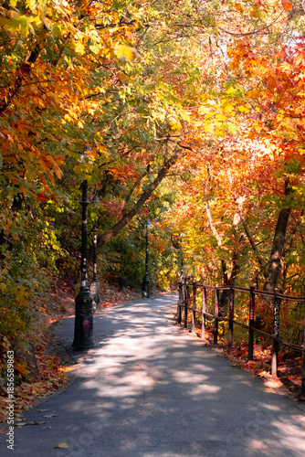 autumn in the park