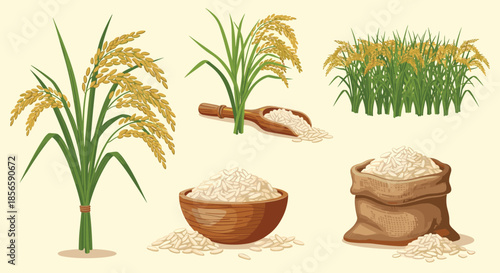 Collection of rice plants, a wooden bowl, and a sack of harvested grains showing the agricultural process and food source.