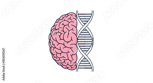Illustration showing a human brain connected to a DNA double helix structure representing genetics and intelligence.