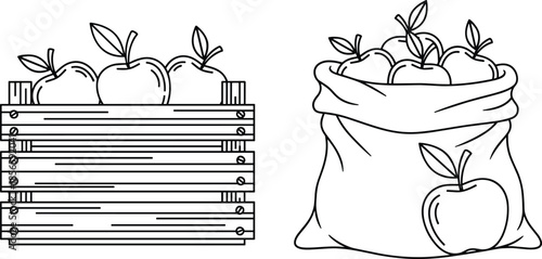 Apple storage icon set, wooden crate and cloth sack comparison, fruit container vector bundle, graphic harvest design pack