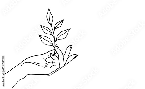 Hand Holding Small Green Plant.