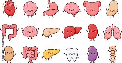 Cute human organs cartoon set, smiling anatomy characters, educational biology chart, flat vector illustration, editable, kids medical design