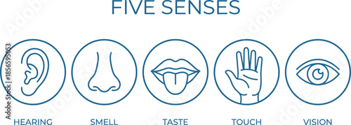 Five human senses icons, sensory perception, flat vector illustration, hearing smell taste touch vision, educational design, biology concept, awareness theme