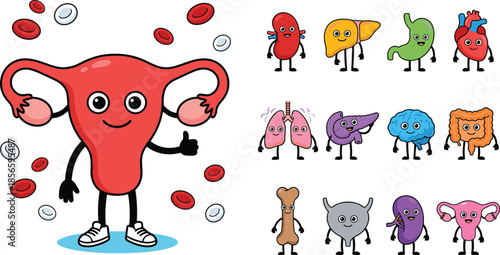 Smiling human organs cartoon collection, educational anatomy set, kids biology chart, flat vector illustration, editable, friendly medical design