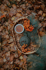 Papier peint photo Cuisine Autumn Basket Tea With Orange Berries And Leaves  © Alexandra Meltemi