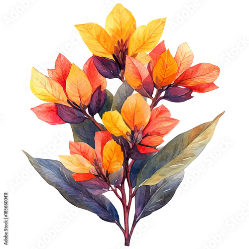 Anigozanthos Flower, elegant watercolor vector painting with refined details, isolated on a white background.