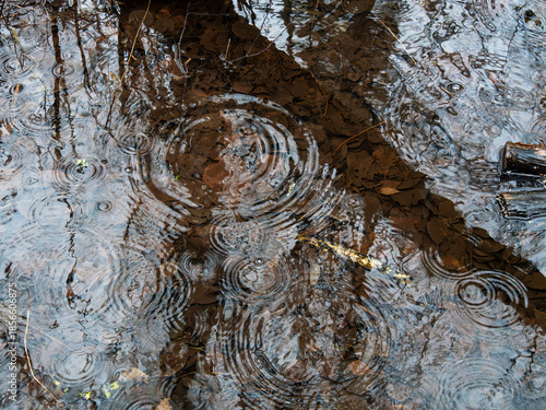 Raindrops Creating Ripples on Muddy Water Surface