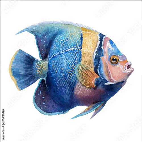 Angelfish Head, watercolor illustration, vector style, isolated on a white background.