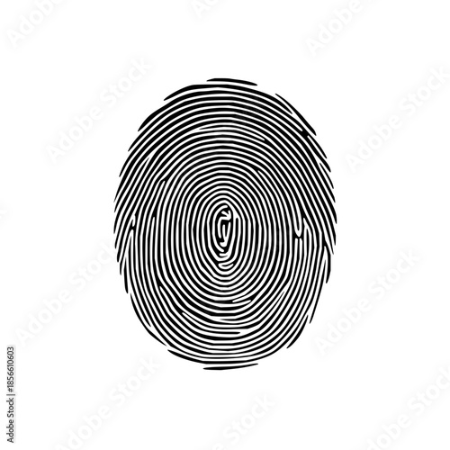 Black and White Fingerprint Isolated on White Background for Identification and Security Concepts with biometric and unique pattern and crime scene in law enforcement forensic science for