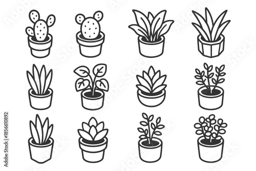 Assorted potted plant icon set: cactus, succulent, and leafy designs in minimal style.