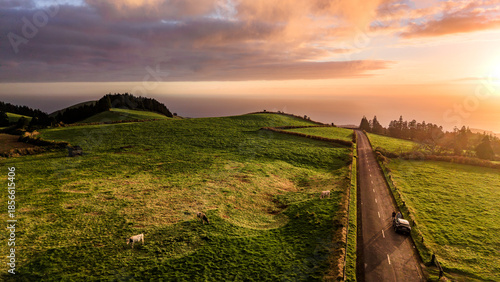 Sunset over green pastures, beautiful street, Azores islands, drone view.