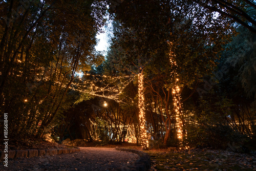 Magical forest pathway decorated with warm Christmas lights wrapped around trees, creating a fairy-tale atmosphere during winter evenings in Opatija, Croatia