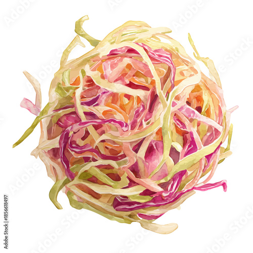 Tableau sur toile Coleslaw in watercolor style, vector illustration, isolated on white background