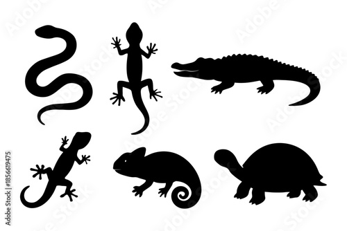 Silhouette collection of reptiles: snake, gecko, crocodile, chameleon, tortoise.