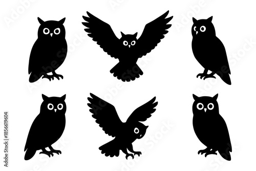 Silhouette illustration of six owls with distinct poses and wing spans.