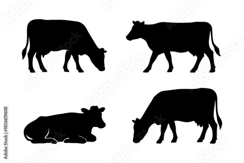 Silhouettes of grazing and resting cows on white background.