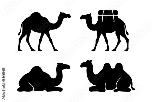 Silhouette illustrations of camels in various poses and activities.