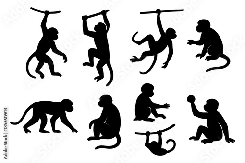 Set of monkey silhouettes in various poses on white background.