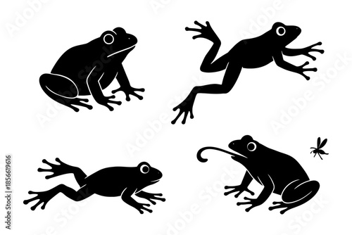 Silhouette collection of frogs in various poses with a fly.