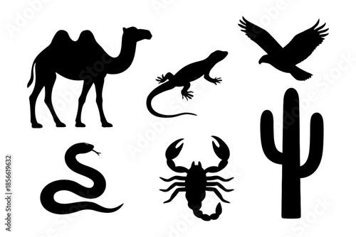 Desert silhouettes: camel, lizard, eagle, cactus, snake, scorpion.