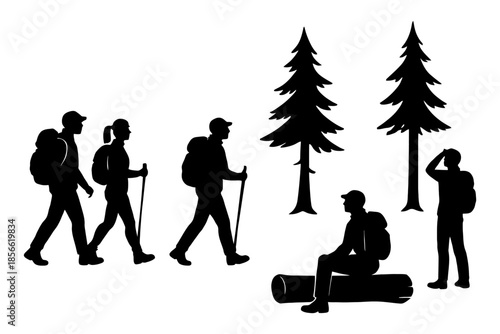 Silhouette hikers trekking in forest with pine trees.