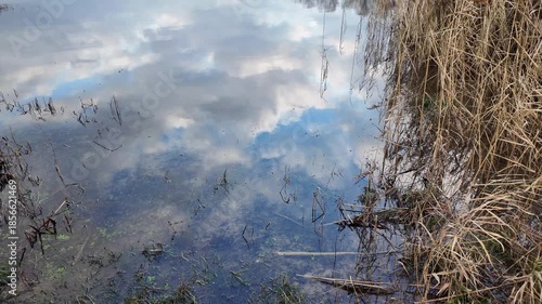 Wide panoramic view of a calm river or lake with golden reeds, dramatic cloudy sky and soft reflections on water. Peaceful autumn wetland landscape, natural light, rural scenery.