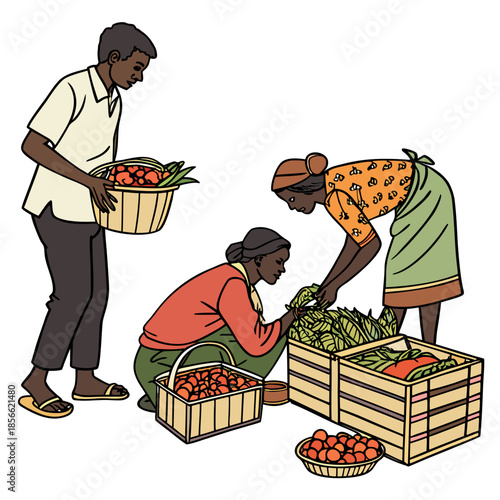 three people harvesting vegetables from wooden crates in a brightly colored illustrative style scene high quality